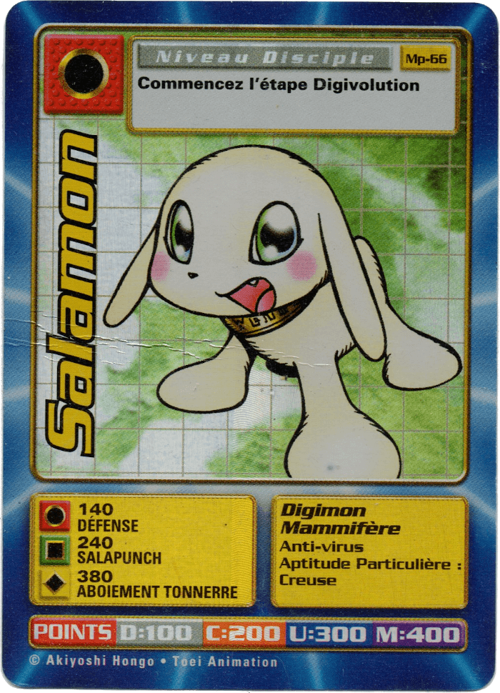 Salamon